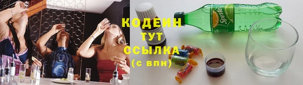 метадон Богданович