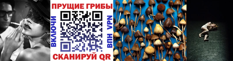 Псилоцибиновые грибы ЛСД Макушино