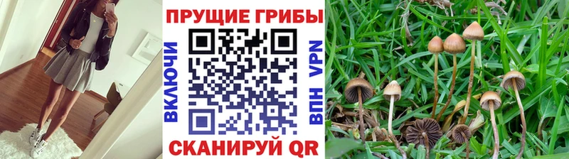 Галлюциногенные грибы ЛСД  Купить закладки  Макушино 